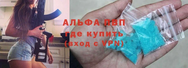 дживик Богородск