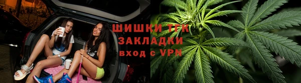 ECSTASY Богданович