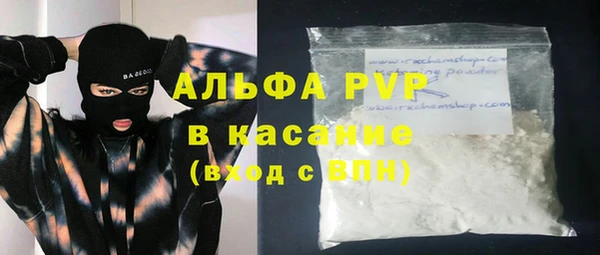 ECSTASY Богданович