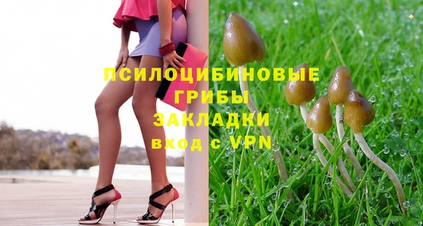 дживик Богородск