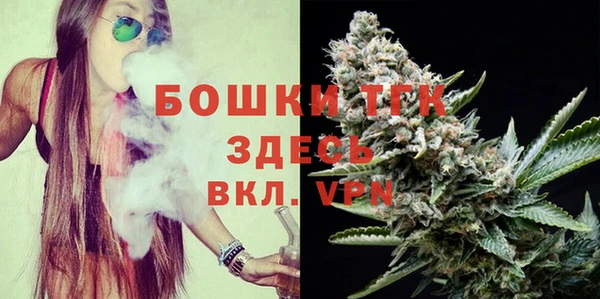 ECSTASY Богданович