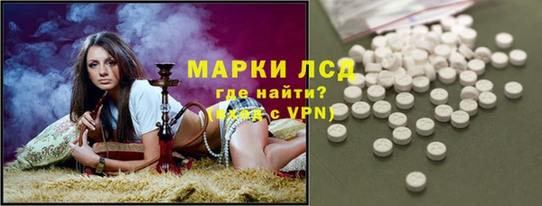 дживик Богородск