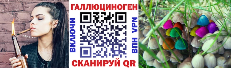 Галлюциногенные грибы мицелий купить сайты Туринск